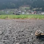 Gina דירה סטאל